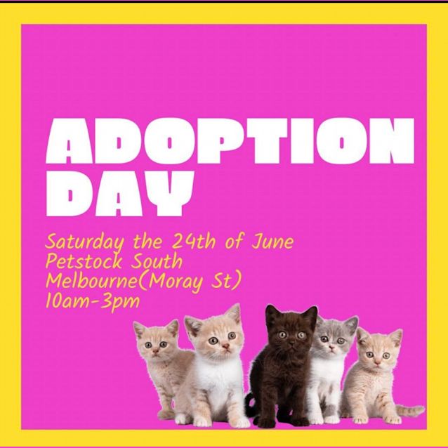 Photo of Adoption Day   Sat 24 June