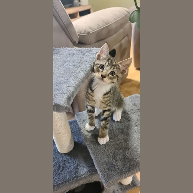 Photo of Leon
