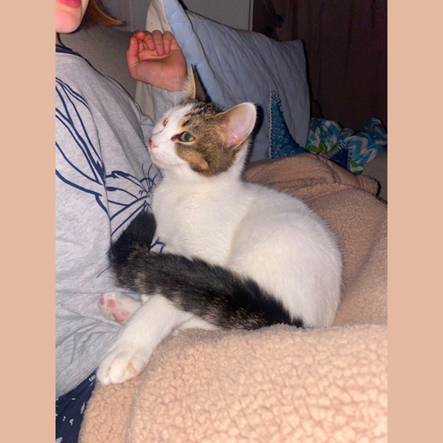 Photo of Roxanne 