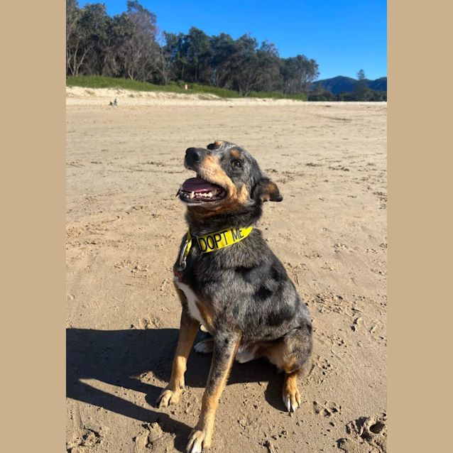 Photo of Doug