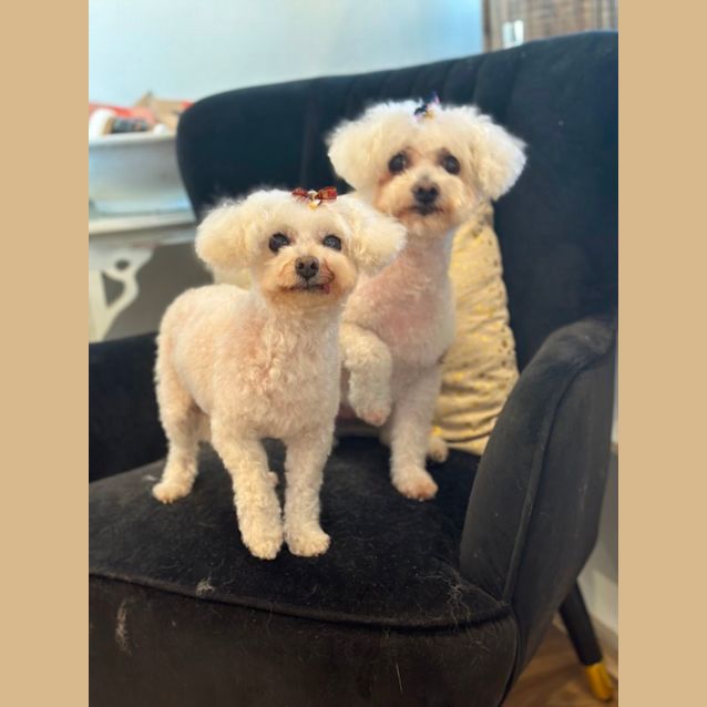 Photo of Mia & Millie