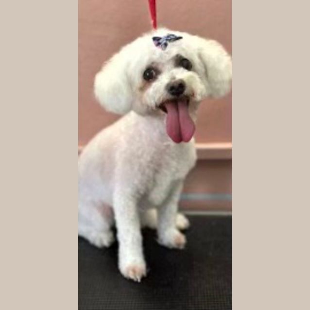 Photo of Mia & Millie