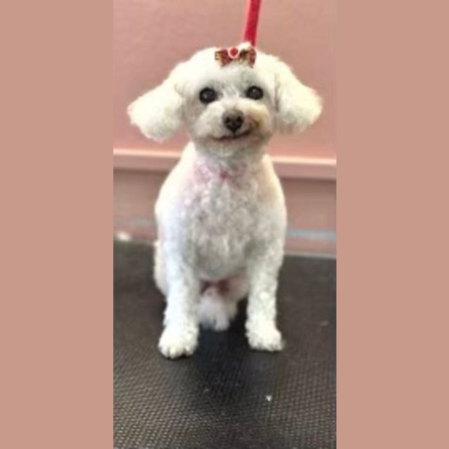 Photo of Mia & Millie