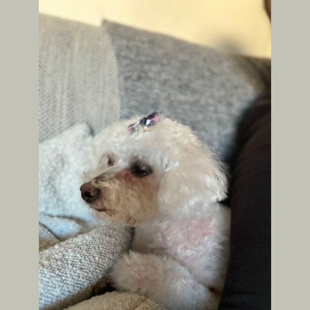 Photo of Mia & Millie