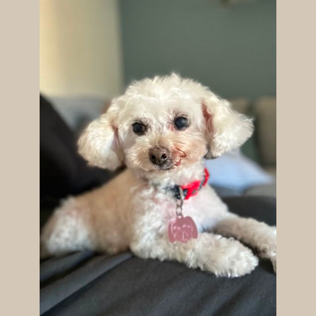 Photo of Mia & Millie