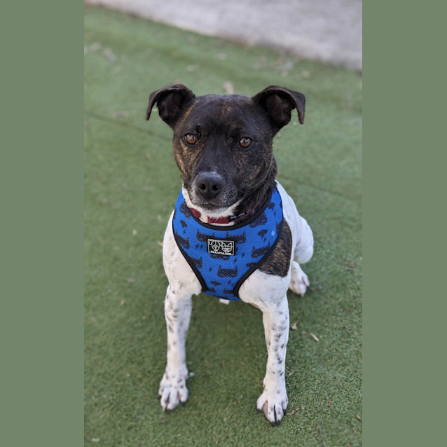 Photo of Roxy