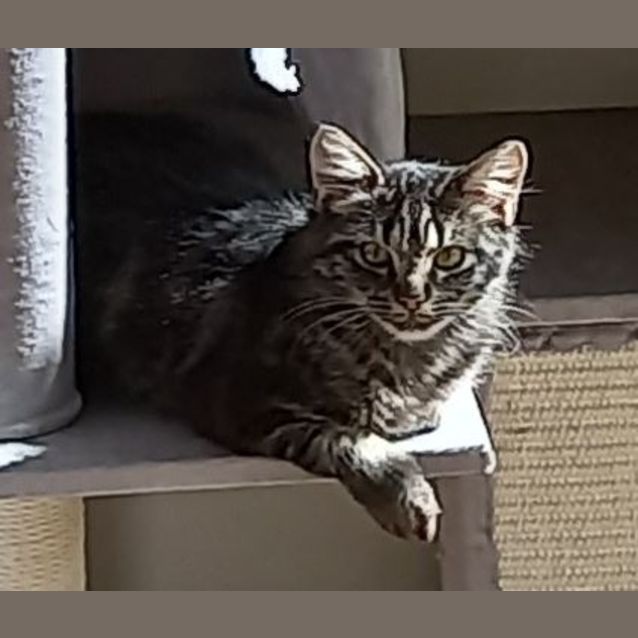 Photo of Star
