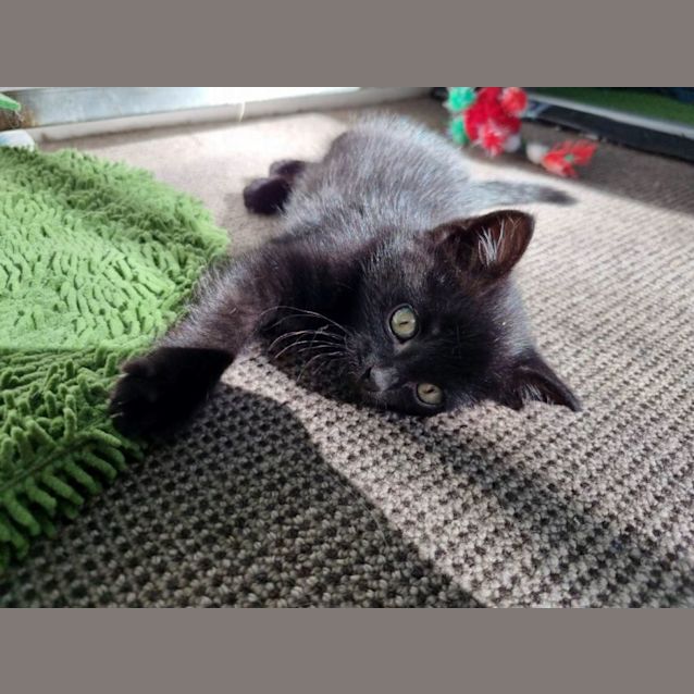 Photo of Peggy