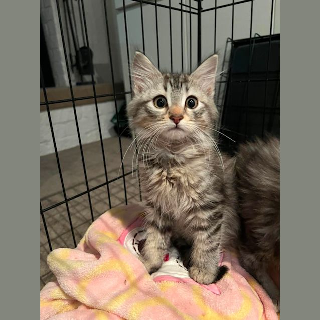 Photo of Boo And Bear