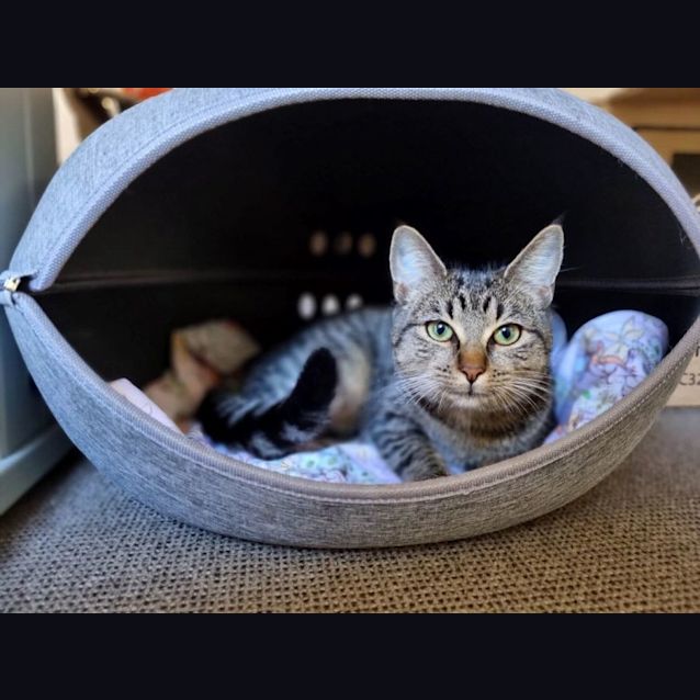 Photo of Katniss Darla