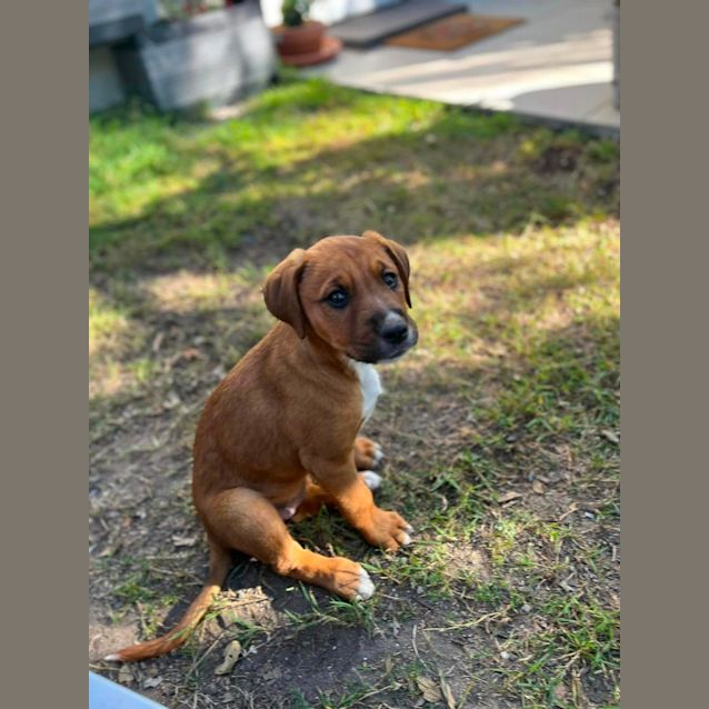 Photo of Marilyn Munroe