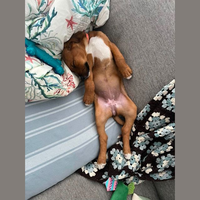 Photo of Marilyn Munroe