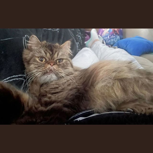 Photo of 🧸 Zilla 🧸