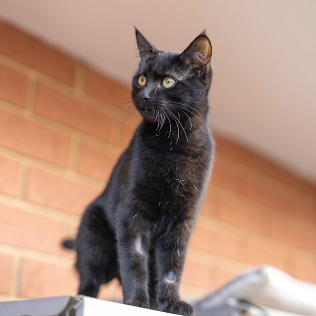 Photo of Mystic
