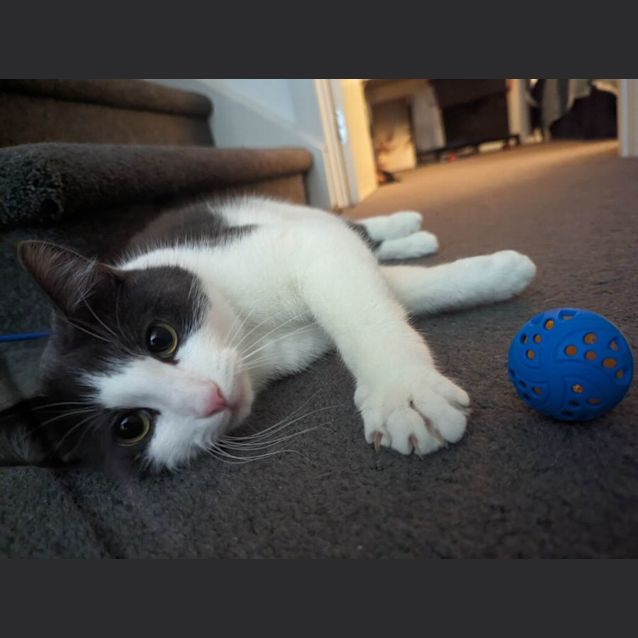 Photo of Dunkin & Herb