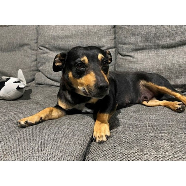 Photo of Skye