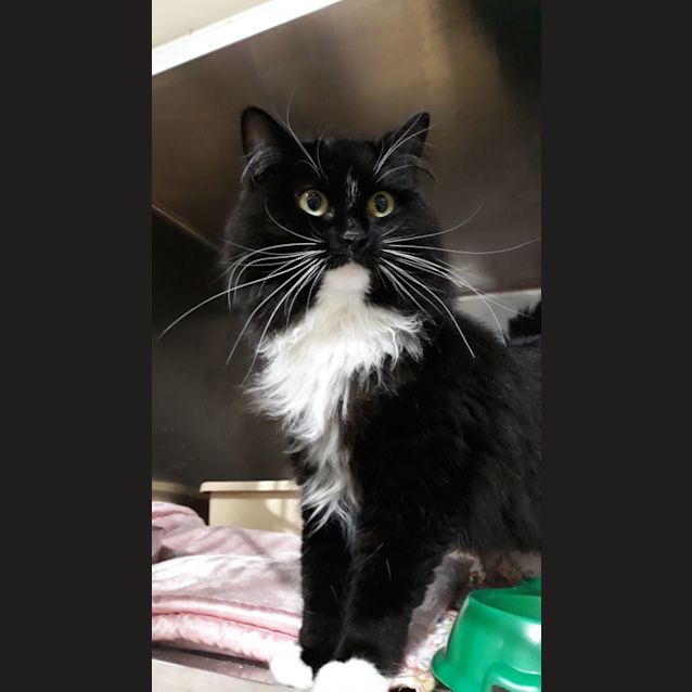 Photo of Maggie
