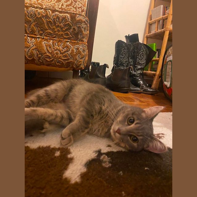 Photo of Zelda