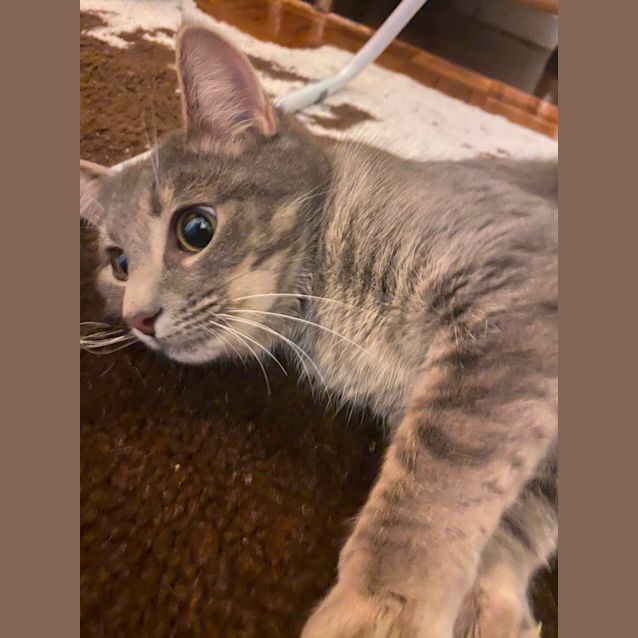 Photo of Zelda