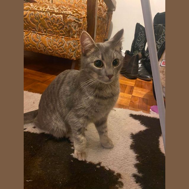 Photo of Zelda