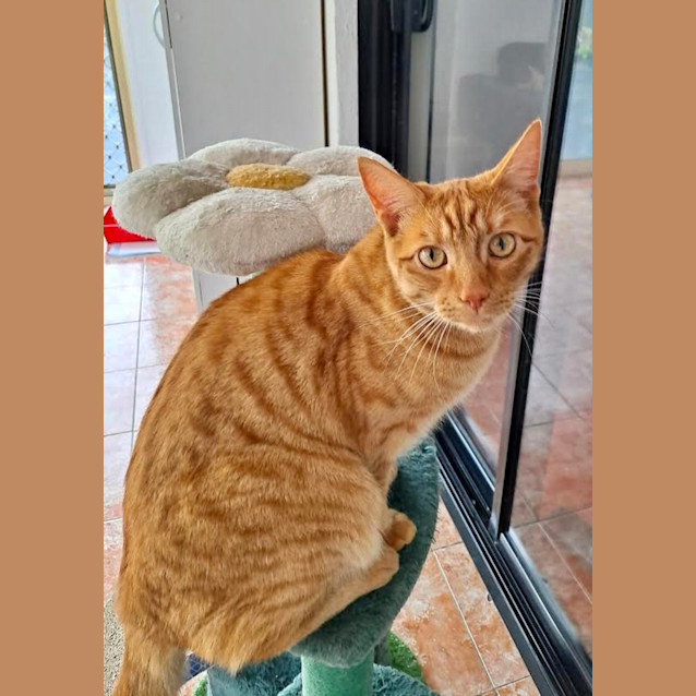 Photo of Biscuit & Judy