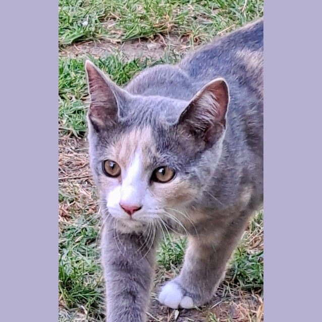 Photo of Biscuit & Judy