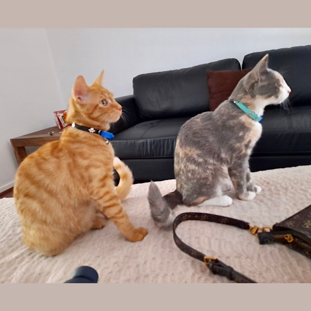 Photo of Biscuit & Judy