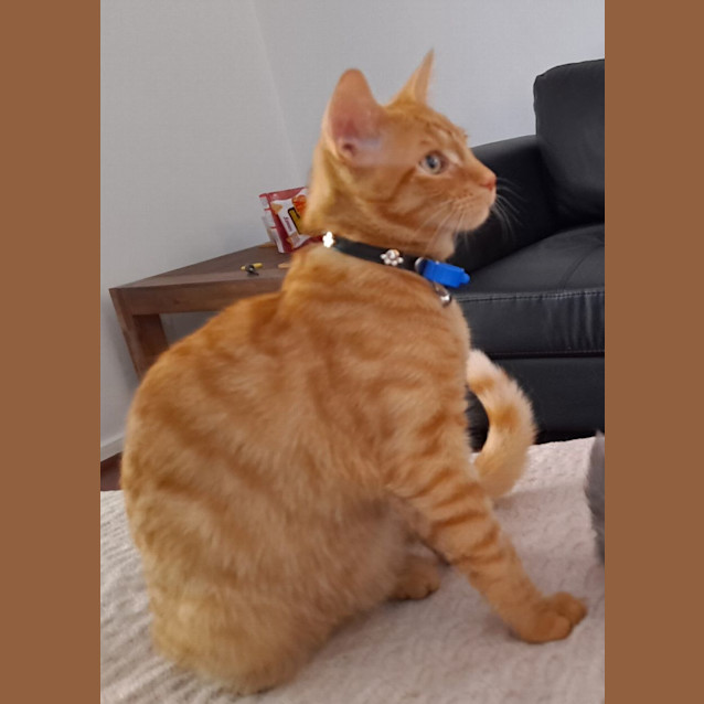 Photo of Biscuit & Judy