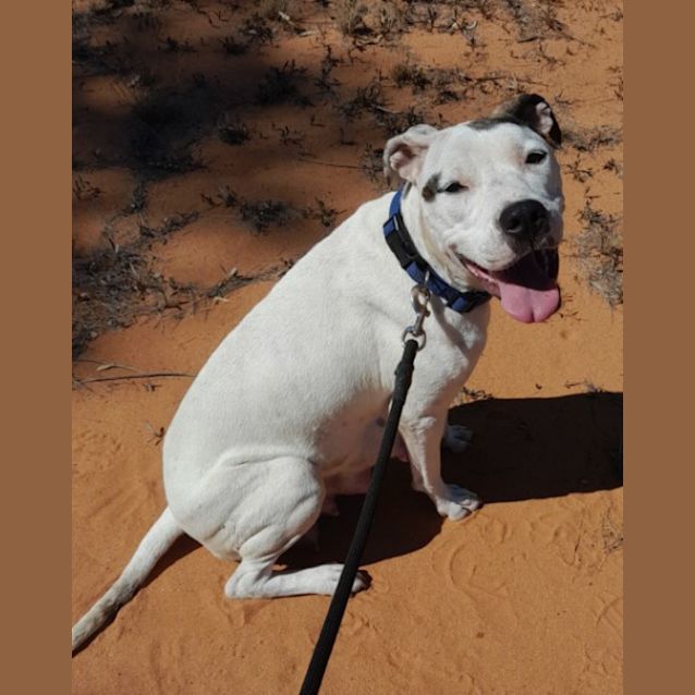 Photo of Bailey Girl