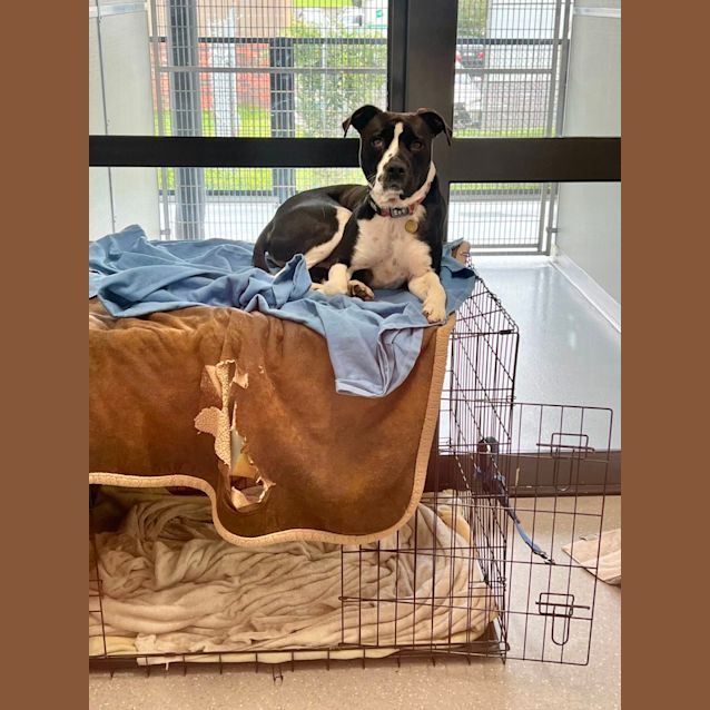 Photo of Ned Flanders