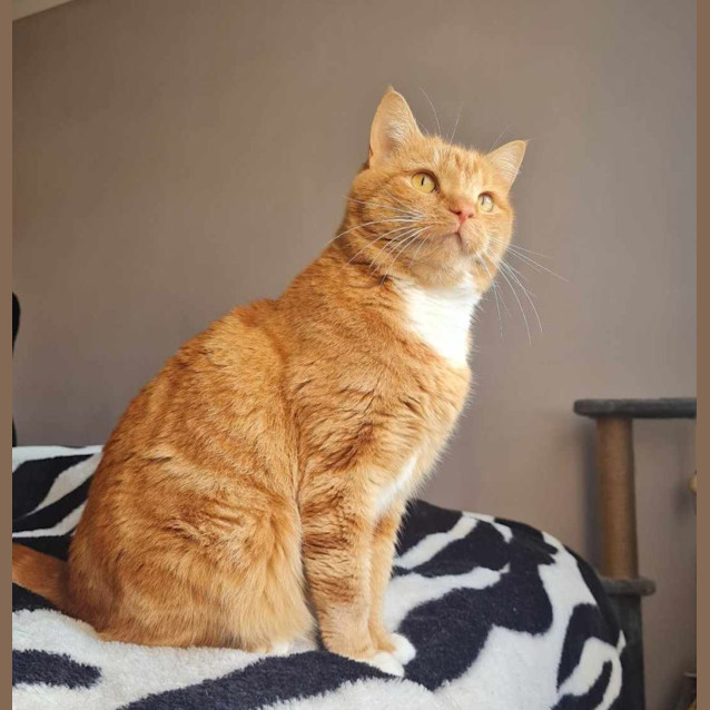 Photo of Bebs   Located In Brunswick East