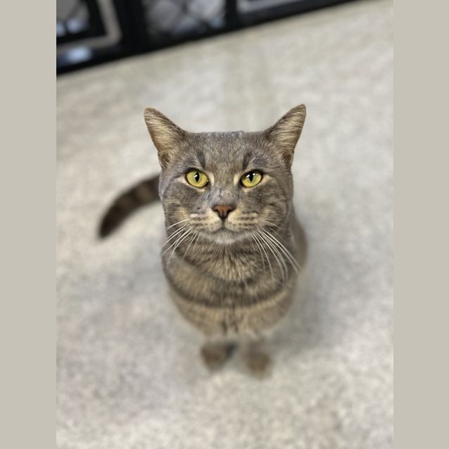 Photo of Oscar Claude Monet