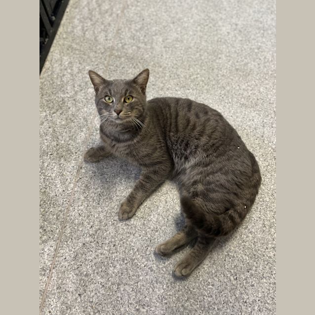 Photo of Oscar Claude Monet