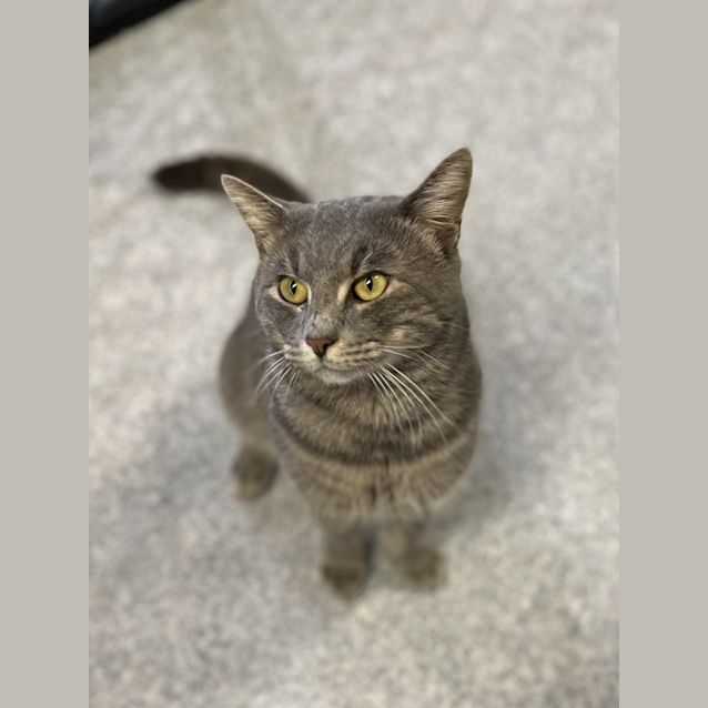 Photo of Oscar Claude Monet