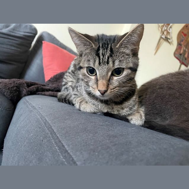 Photo of Sweet Eddie