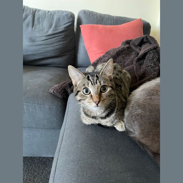 Photo of Sweet Eddie