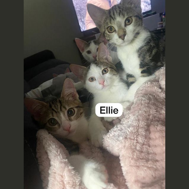 Photo of Ellie