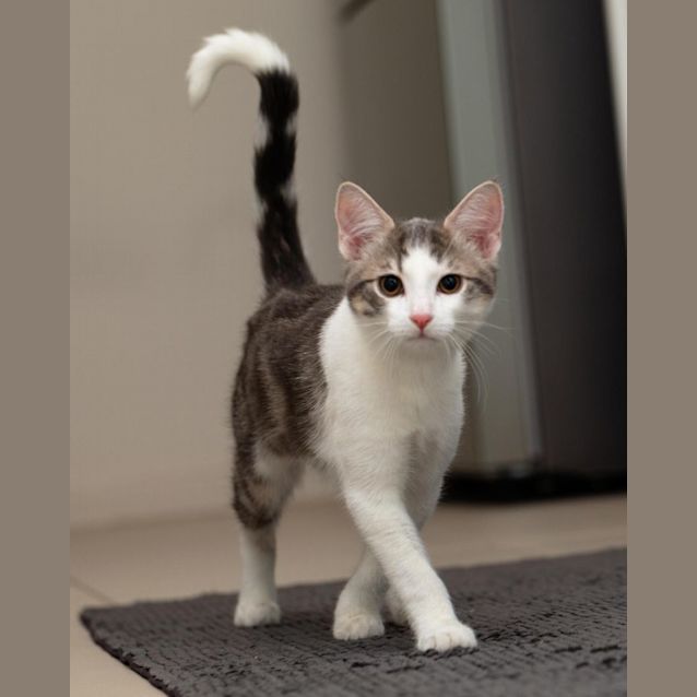 Photo of Squirt