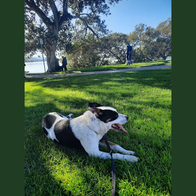 Photo of Decker