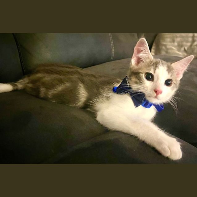 Photo of Squirt