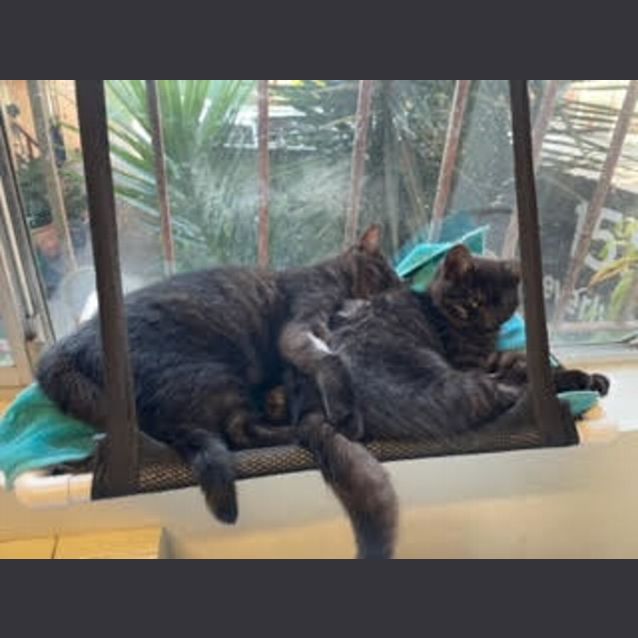 Photo of Storm And Cloud