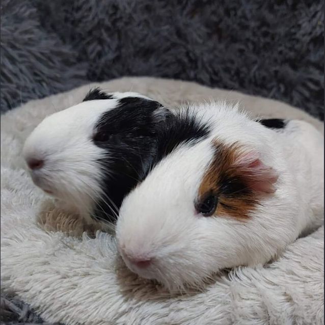 Photo of Penny & Drew