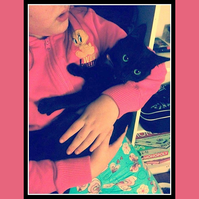 Photo of "Marianne" Purrfect Match