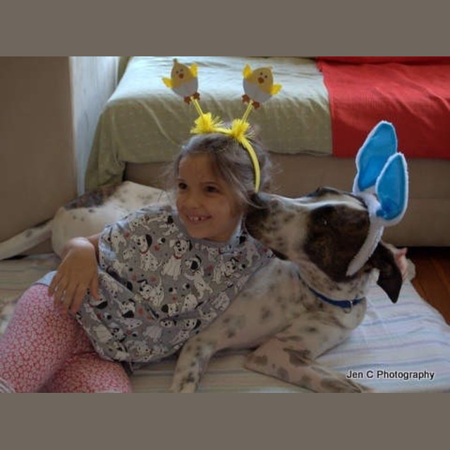 Photo of Milo ** A Gentle Giant **