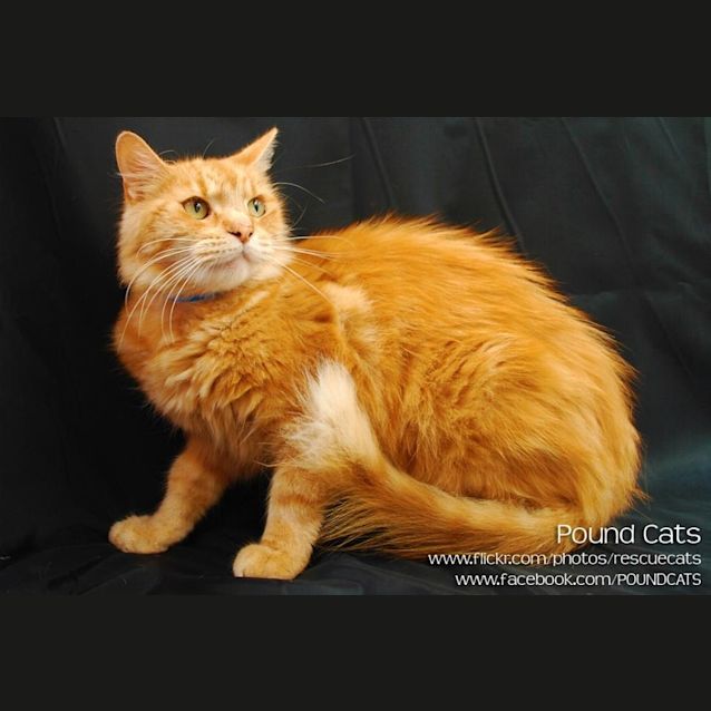Photo of Big Red