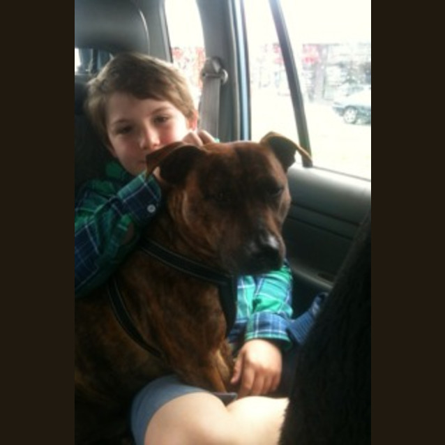 Photo of Diesel