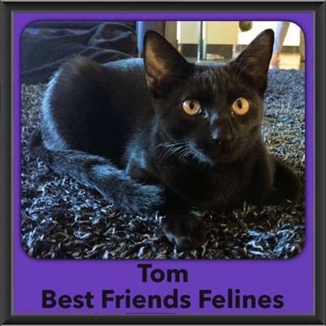 Photo of Tom