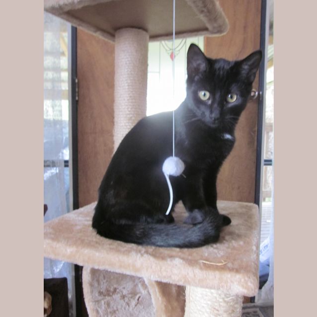 Photo of Wendy Reduced! $100