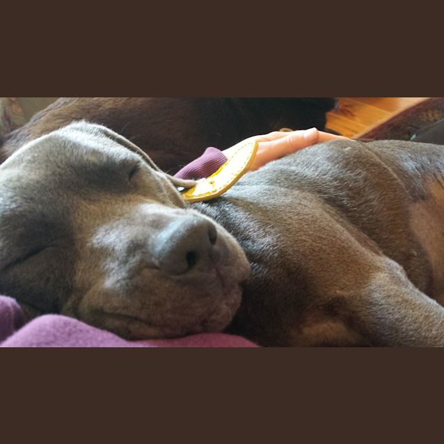 Photo of Lulu