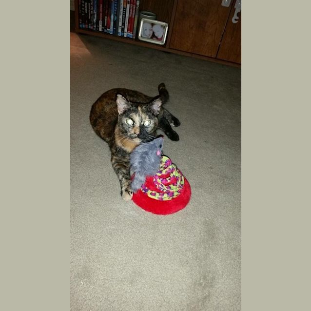 Photo of Bonnie